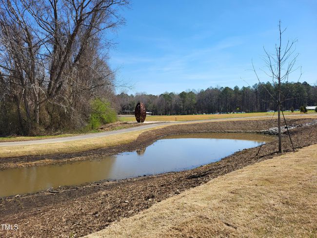 walking trails 1 | Image 34