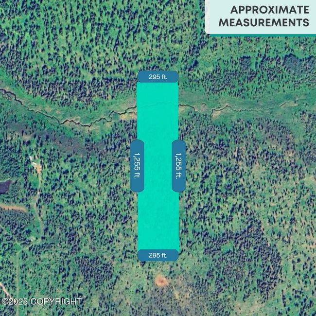 6 | Image 6