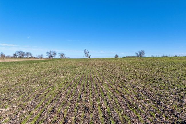 View of local wilderness featuring rural landscape | Image 7
