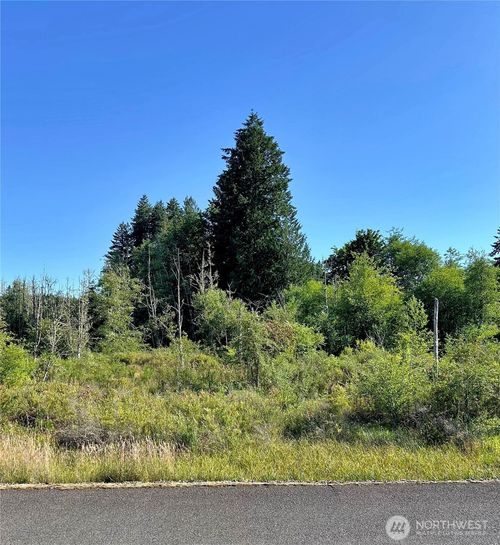 0 Basie Rd, Castle Rock, WA, 98611 | Card Image