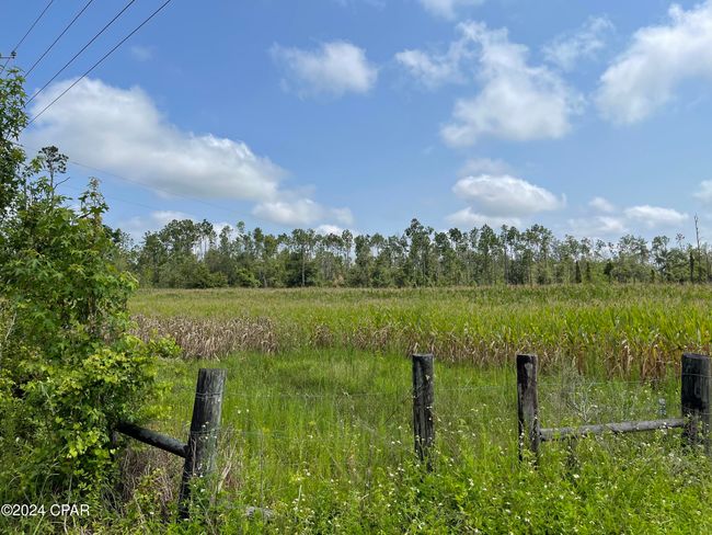 00 State Road 71 N, Home with 0 bedrooms, 0 bathrooms and null parking in Altha FL | Image 4