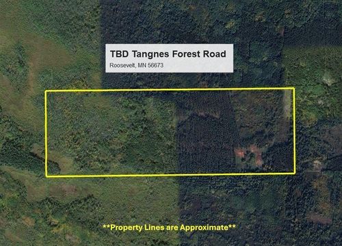TBD Tangnes Forest Road, Roosevelt, MN, 56673 | Card Image