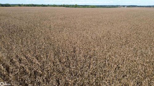 322 A Nuthatch Ave, Bloomfield, IA, 52537 | Card Image