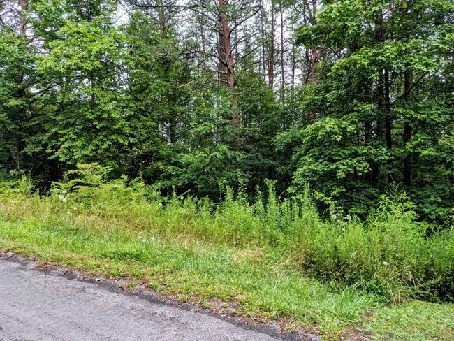 32 Lakeview Dr, Home with 0 bedrooms, 0 bathrooms and null parking in Turtletown TN | Image 12