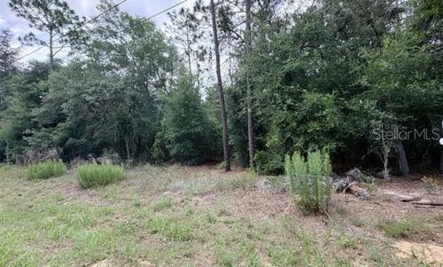 3223 E Scofield St, INVERNESS, FL, 34453-0854 | Card Image