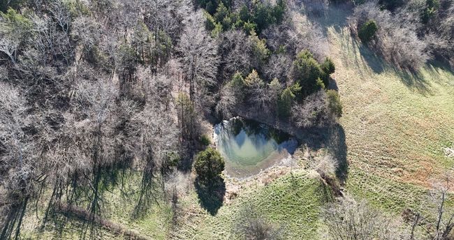 0 Browning Branch Rd, Home with 0 bedrooms, 0 bathrooms and null parking in Bethpage TN | Image 14