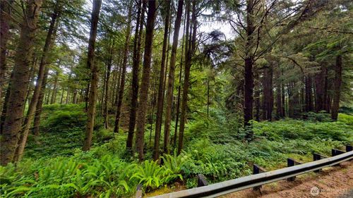 0 Roosevelt Beach Rd, Pacific Beach, WA, 98571 | Card Image