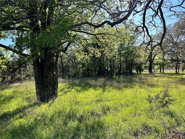 Lot 13 Cr 127, Home with 0 bedrooms, 0 bathrooms and null parking in Carlton TX | Image 4