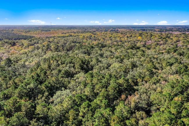 HFL_OSBORNE TRACT-35-2 | Image 4