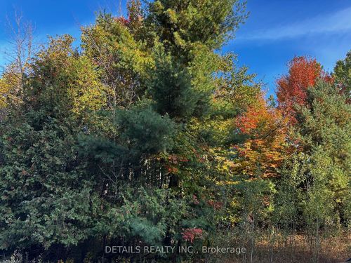 515 Vances Side Rd, Dunrobin, ON, K0A1T0 | Card Image