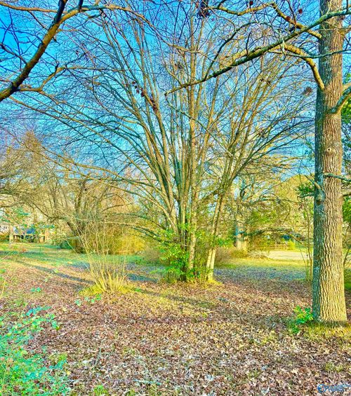 Lot 3 Corsbie St Nw, Hartselle, AL, 35640 | Card Image