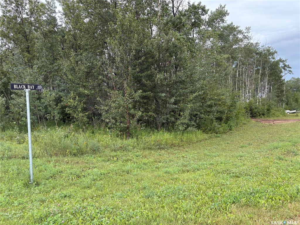 Land in Barrier Valley Rm No. 397 4