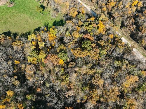 TBD Bear Creek Dr, Dorchester, IA, 52140 | Card Image