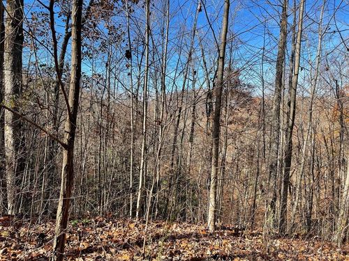 Lot 49J Indian Trail Ln, Hayesville, NC, 28904 | Card Image