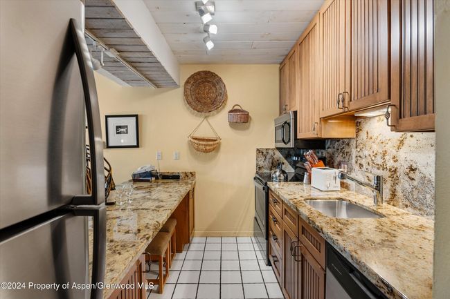 202 - 131 E Durant Ave, Condo with 2 bedrooms, 2 bathrooms and null parking in Aspen CO | Image 6
