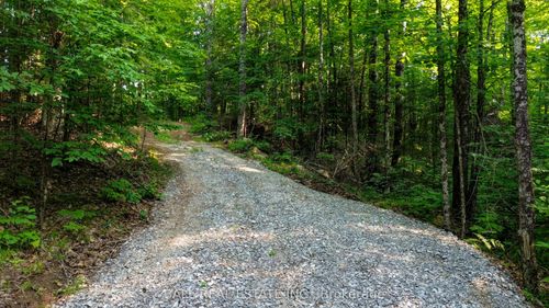 00 Rose Island Rd, Wollaston, ON, K0L1P0 | Card Image