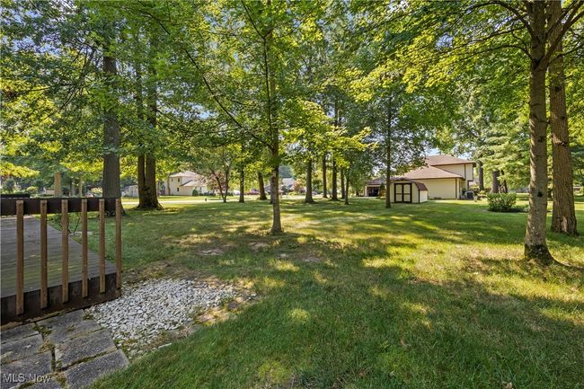 View of green lawn and trees | Image 34