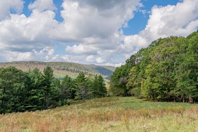 214 Comers Creek Rd, Home with 0 bedrooms, 0 bathrooms and null parking in Sugar Grove VA | Image 40