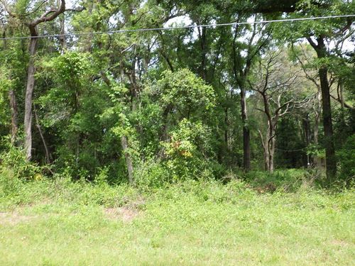 LOT 87 Nw 168th Ln, Trenton, FL, 32693 | Card Image