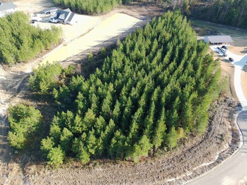 903 Old Glory Ln, Brandon, MS, 39047-1106 | Card Image