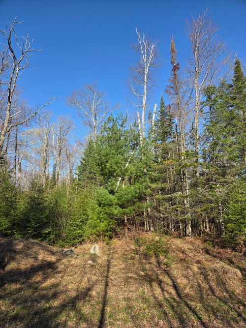 lot-1-ON Northwoods Ln, Elcho, WI, 54428 | Card Image
