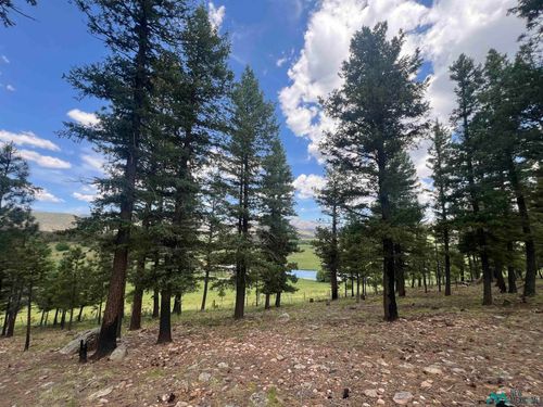 162-30 Goleta Ct, Rociada, NM, 87742-1042 | Card Image