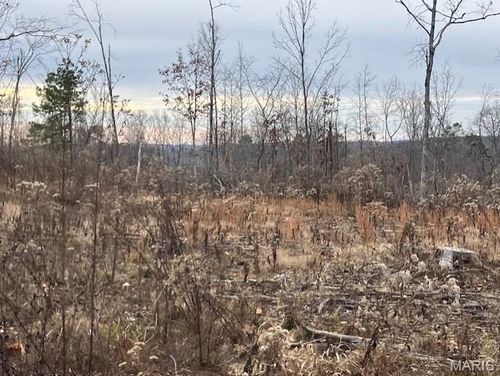 189 Madison St, Fredericktown, MO, 63645 | Card Image