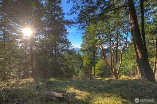 558 Buck Mountain Rd, Eastsound, WA, 98245 | Card Image