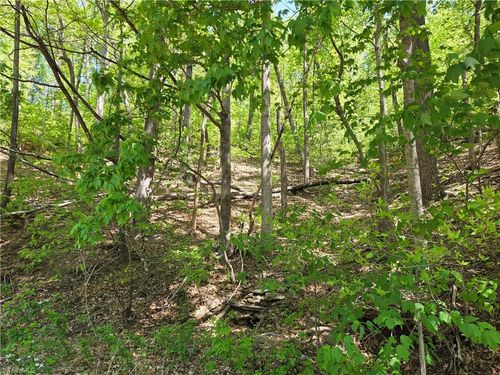 TBD Price Rd, Moravian Falls, NC, 28654 | Card Image