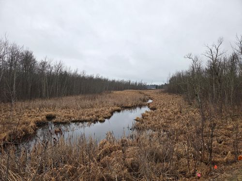 TBD County Road 11 Nw, Longville, MN, 56655 | Card Image