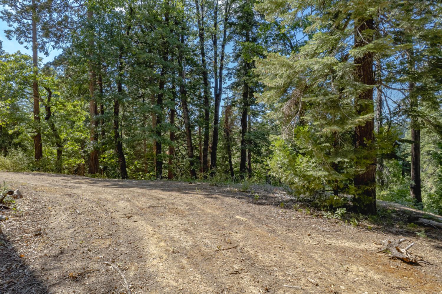 Land in Nevada City 4