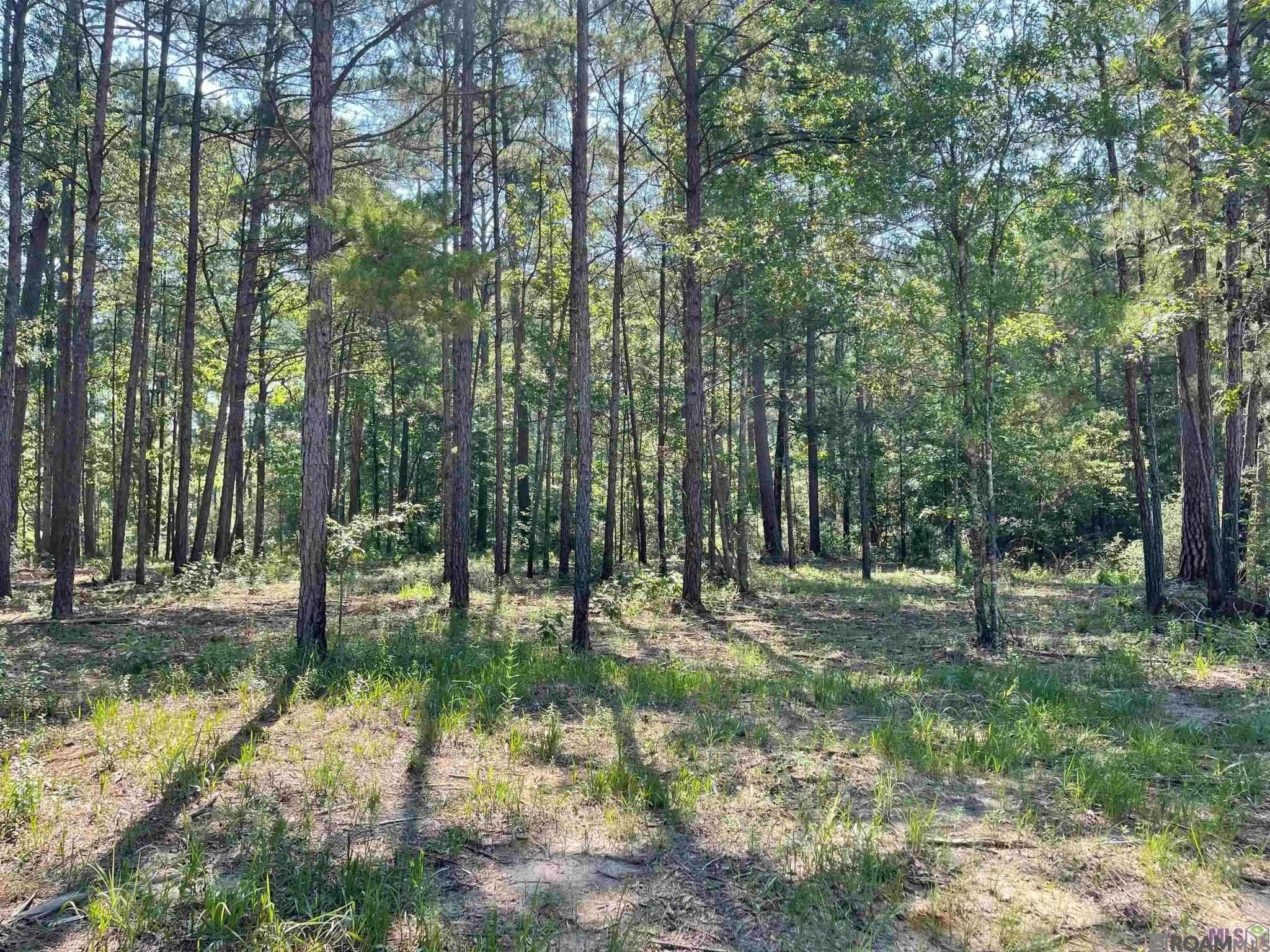 Land in Clinton