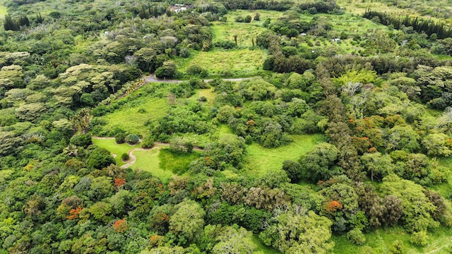 Land in Pahoa 3