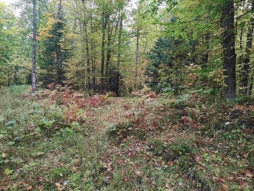 TBD S Laird Road, Pelkie, MI, 49958 | Card Image