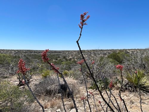 Tbd 0000 N State Highway 349, Sanderson, TX, 79848 | Card Image