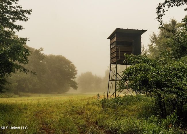 Castens Creek Pics-17 | Image 6