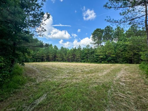 0 Guys Chewalla Rd, Ramer, TN, 38367 | Card Image