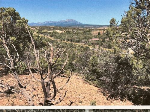 2623 N Reservoir Rd, Blanding, UT, 84511-3435 | Card Image