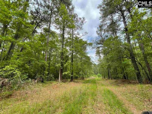  Bull Swamp Road, North, SC, 29112 | Card Image