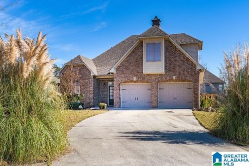163 Willow View Ln, WILSONVILLE, AL, 35186-5401 | Card Image