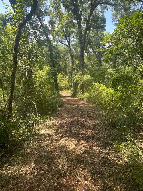 000 Reddick Ln, TALLAHASSEE, FL, 32317 | Card Image