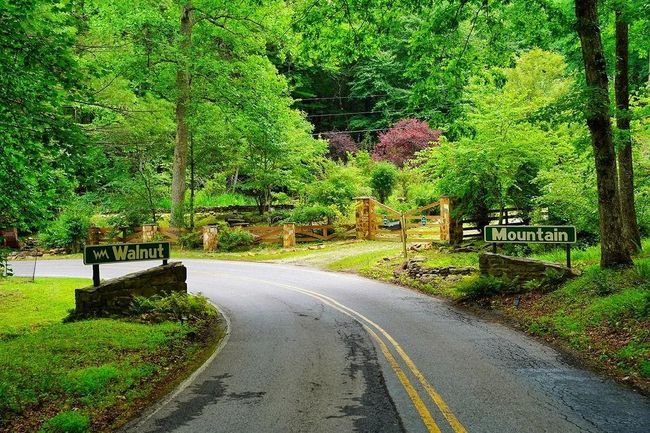 368 Walnut Rdg, Home with 4 bedrooms, 2 bathrooms and null parking in Ellijay GA | Image 41
