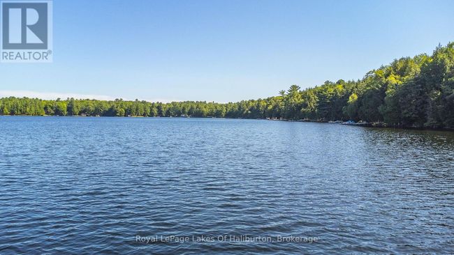 1358 Kushog Lake Rd, House other with 4 bedrooms, 3 bathrooms and 6 parking in Algonquin Highlands ON | Image 43