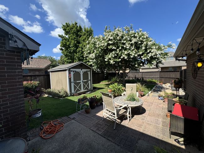 sanctuary in backyard | Image 11