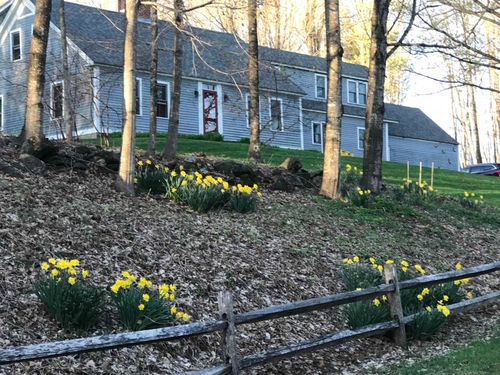 233 Dame Hill Rd, Orford, NH, 03777-4609 | Card Image