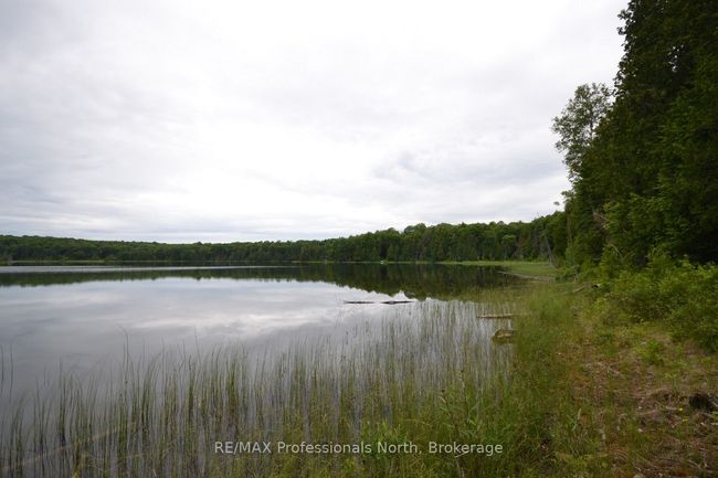 0 Harburn Rd, Home with 0 bedrooms, 0 bathrooms and null parking in Haliburton ON | Image 27