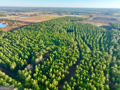 lot-wp003-0 Yancey Rd, Rhine, GA, 31077 | Card Image