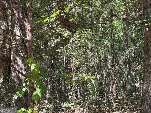 0 S Rhodes St, Union Point, GA, 30669 | Card Image