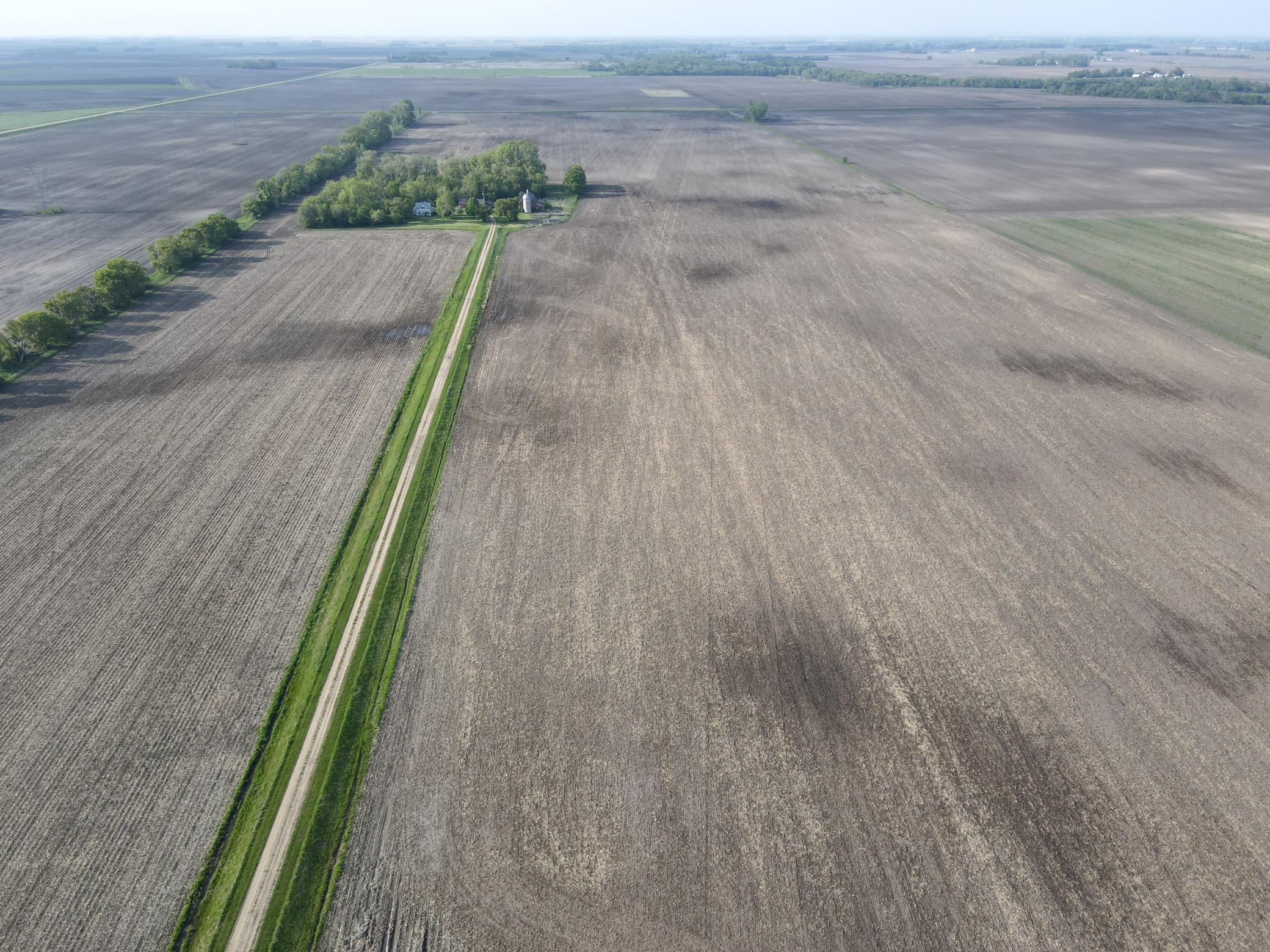 Land in Benson 5