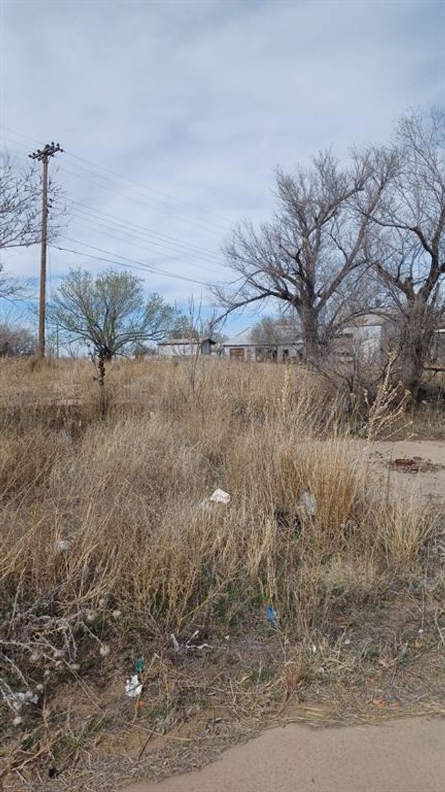 601 E 10 Th St, Home with 0 bedrooms, 0 bathrooms and null parking in Borger TX | Image 15